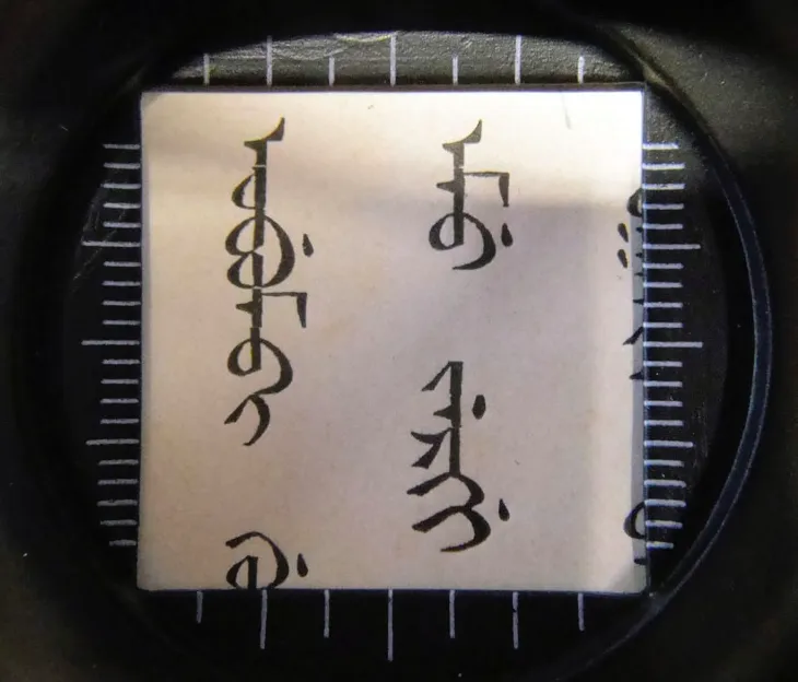 Mongolian type